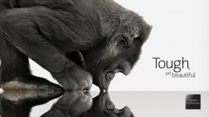 Corning Gorilla Glass: Tought yet Beautiful