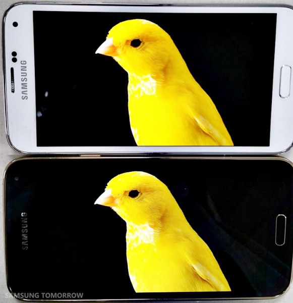 Yllä Samsung Galaxy S5 ja alla sen uusi LTE-A-versio