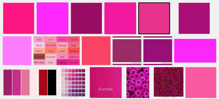 Fuchsia-väri eli fuksianpunainen Googlen kuvahaussa.
