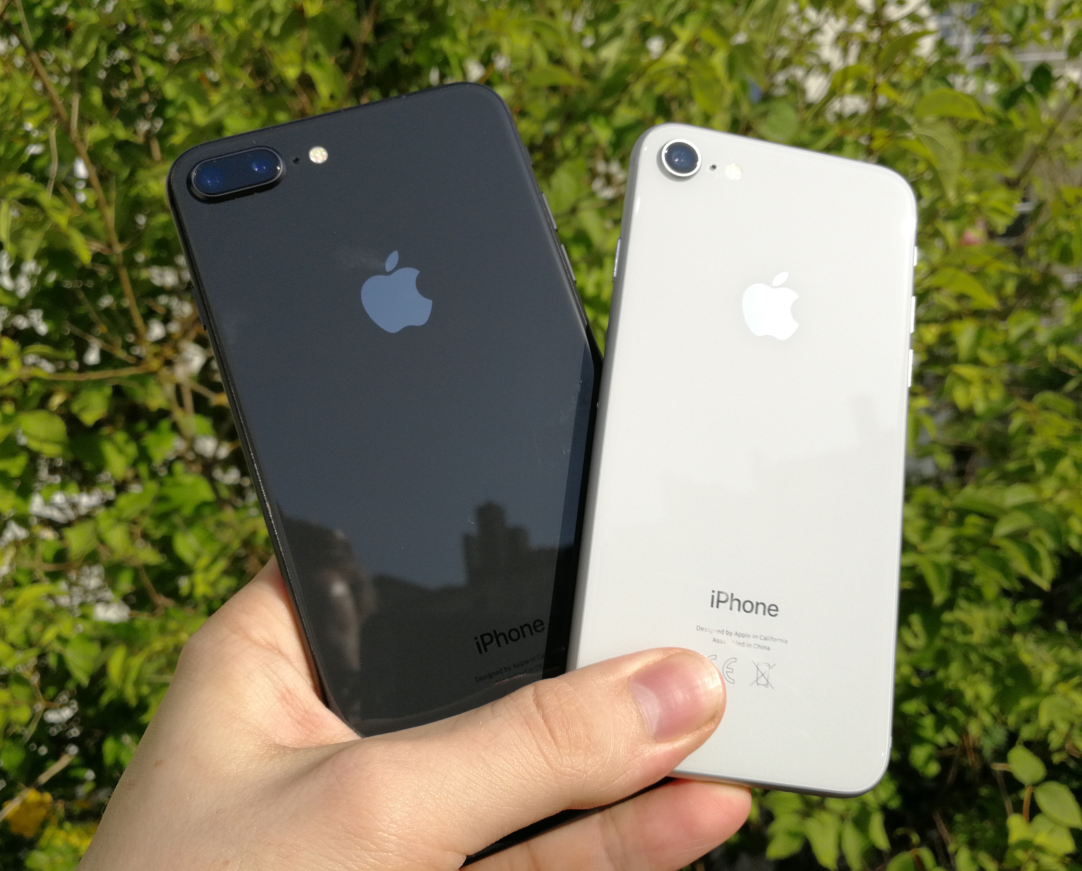 iPhone 8 Plus ja iPhone 8 ovat saaneet lasia taakse. Koon ohella puhelinten merkittävänä erona on tuttuun tapaan vain Plussasta löytyvä kaksoiskamera, joka tuo mukaan 2x optisen zoomin ja Muotokuva-tilan.