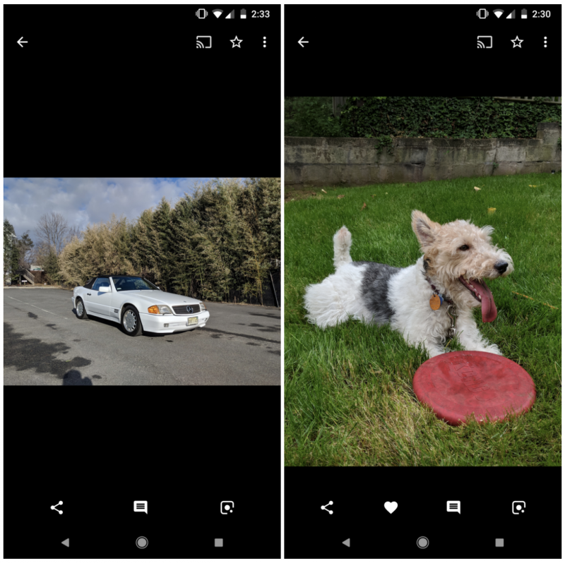 Google Kuvat -sovellukseen ilmestyy tykkäysmahdollisuus. Kuva: Android Police.