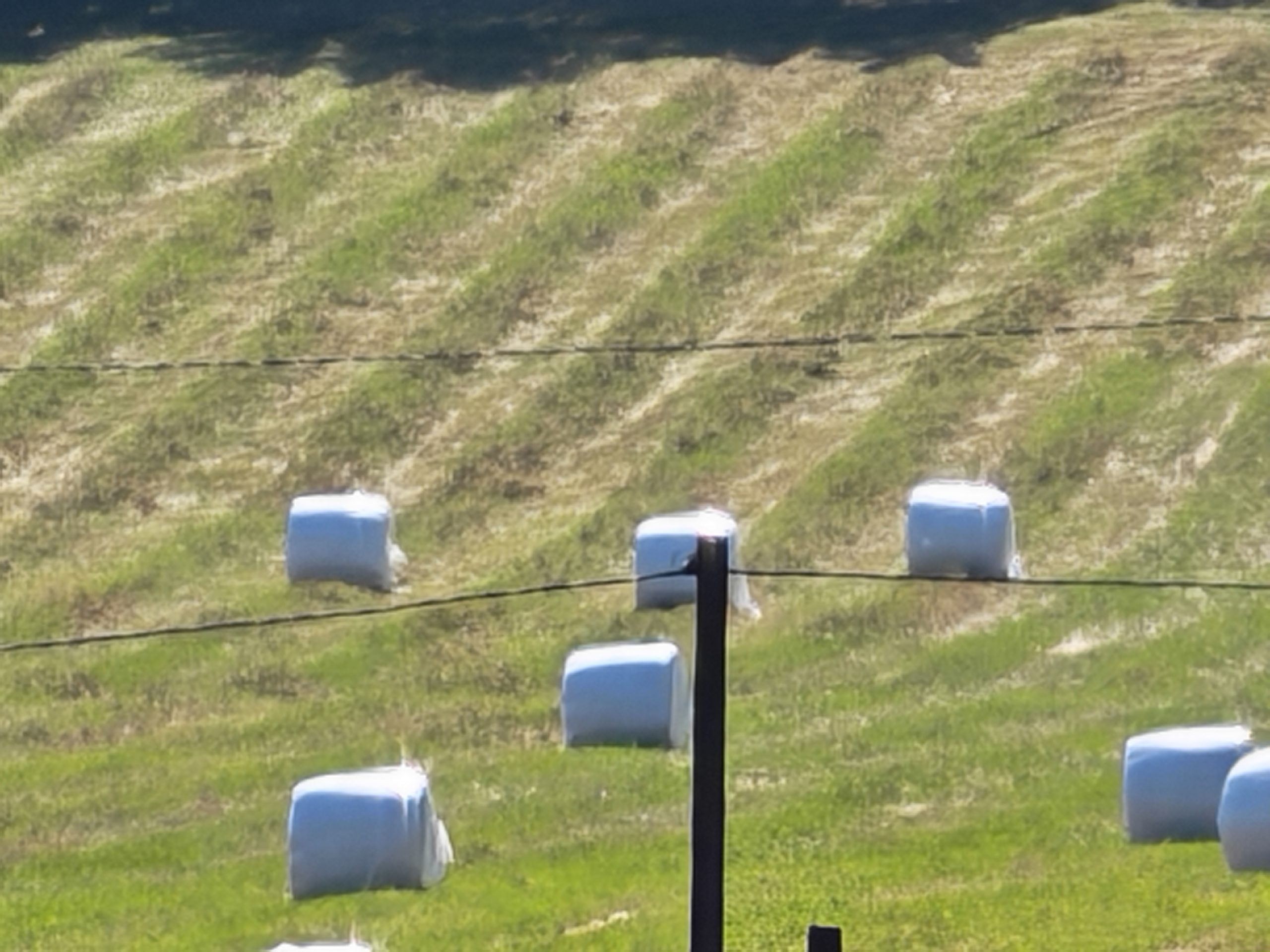 Telekamera, 50x digitaalinen zoom.