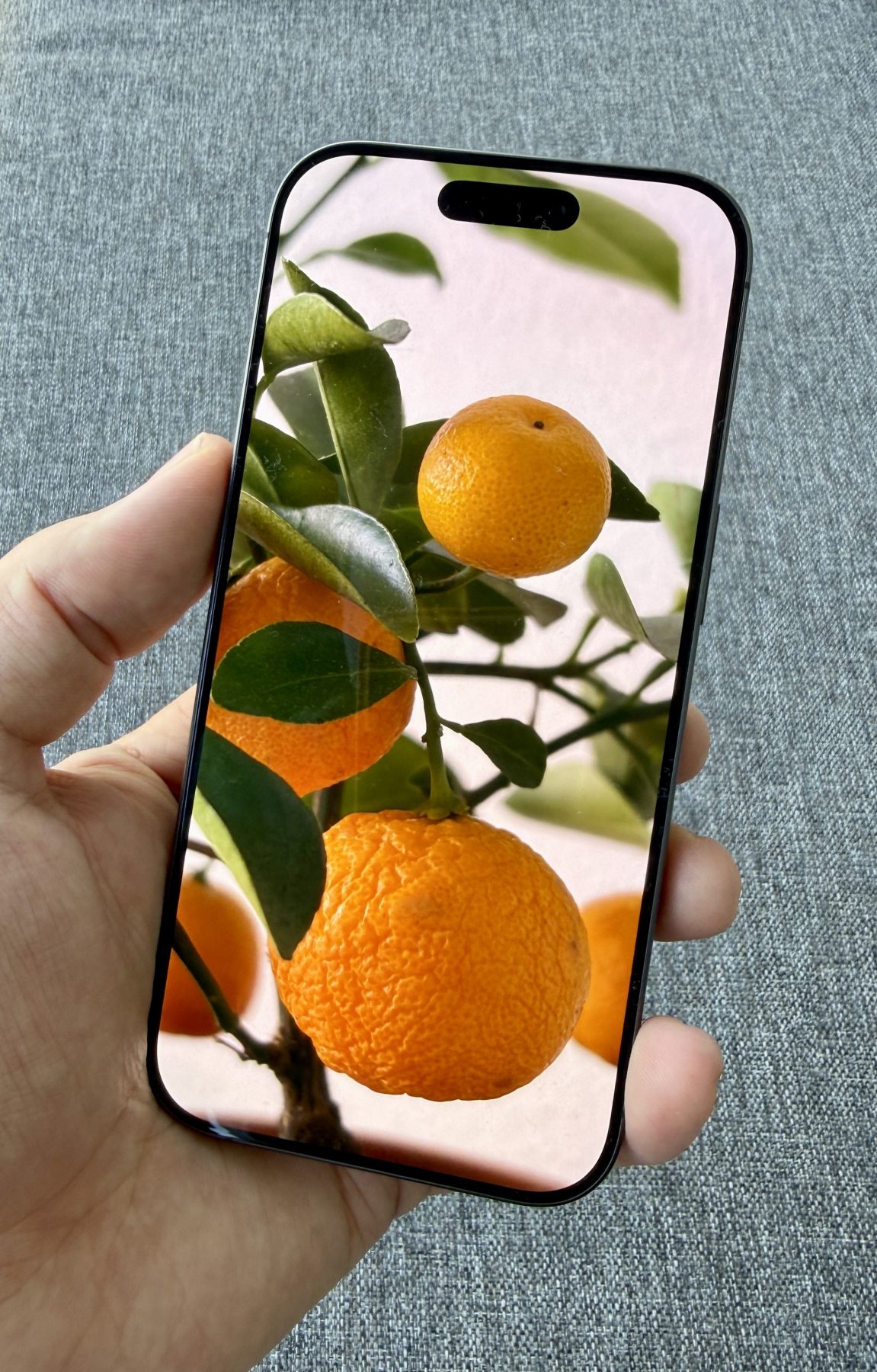 iPhone 17:ssäkin on nyt 120 hertsin ProMotion-näyttö.