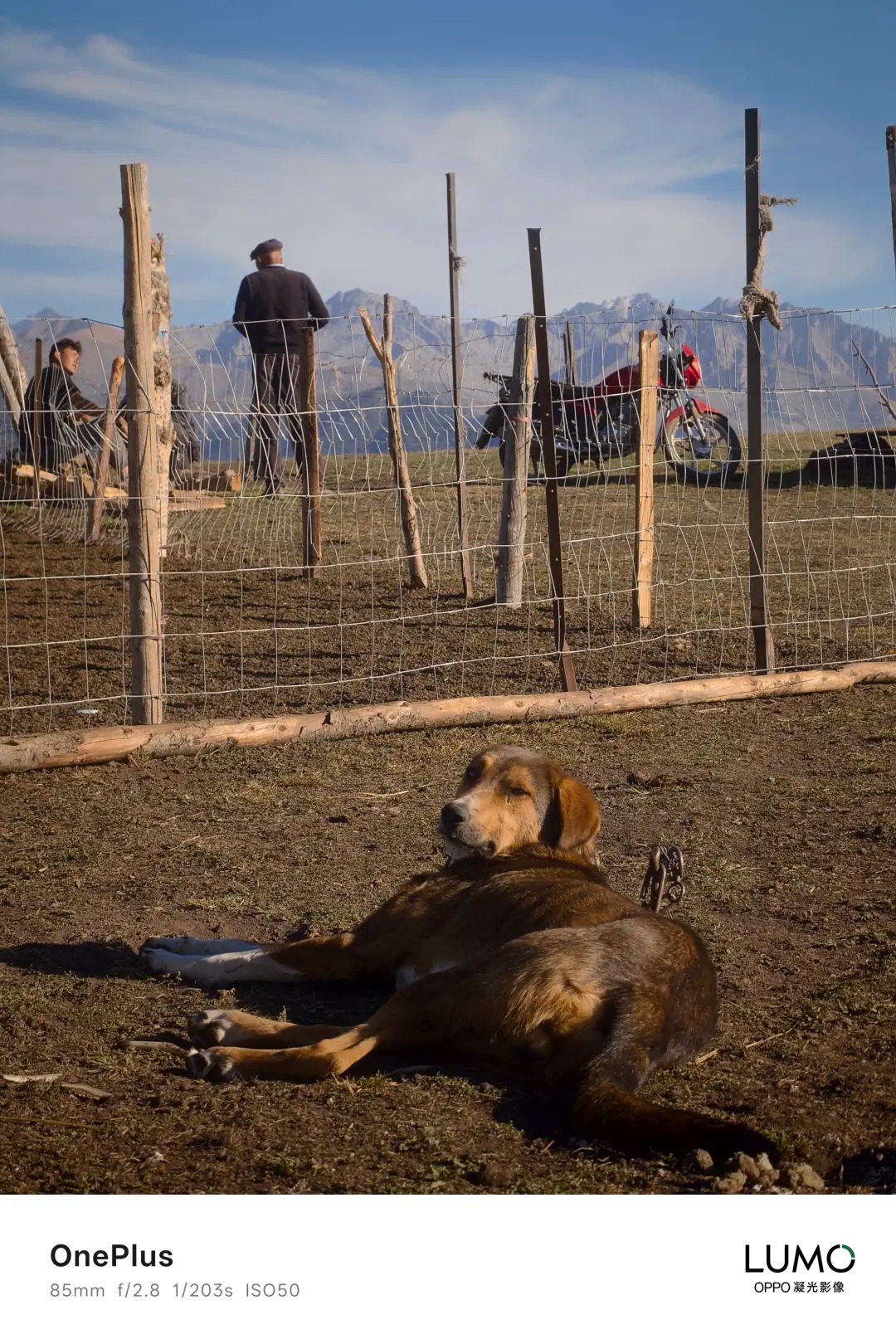OnePlussan jakama uudella lippulaivapuhelimella kuvattu kuva.
