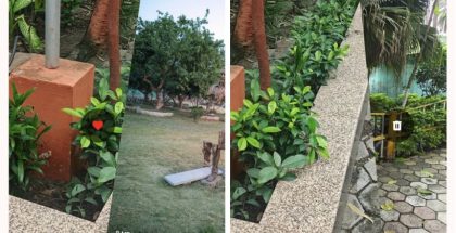 Google Onen päivitys tuo sovellukseen Tinderin tapaisella pyyhkäisykäyttöliittymällä varustetun tiedostojen poistonäkymän. Kuvat: Android Authority.