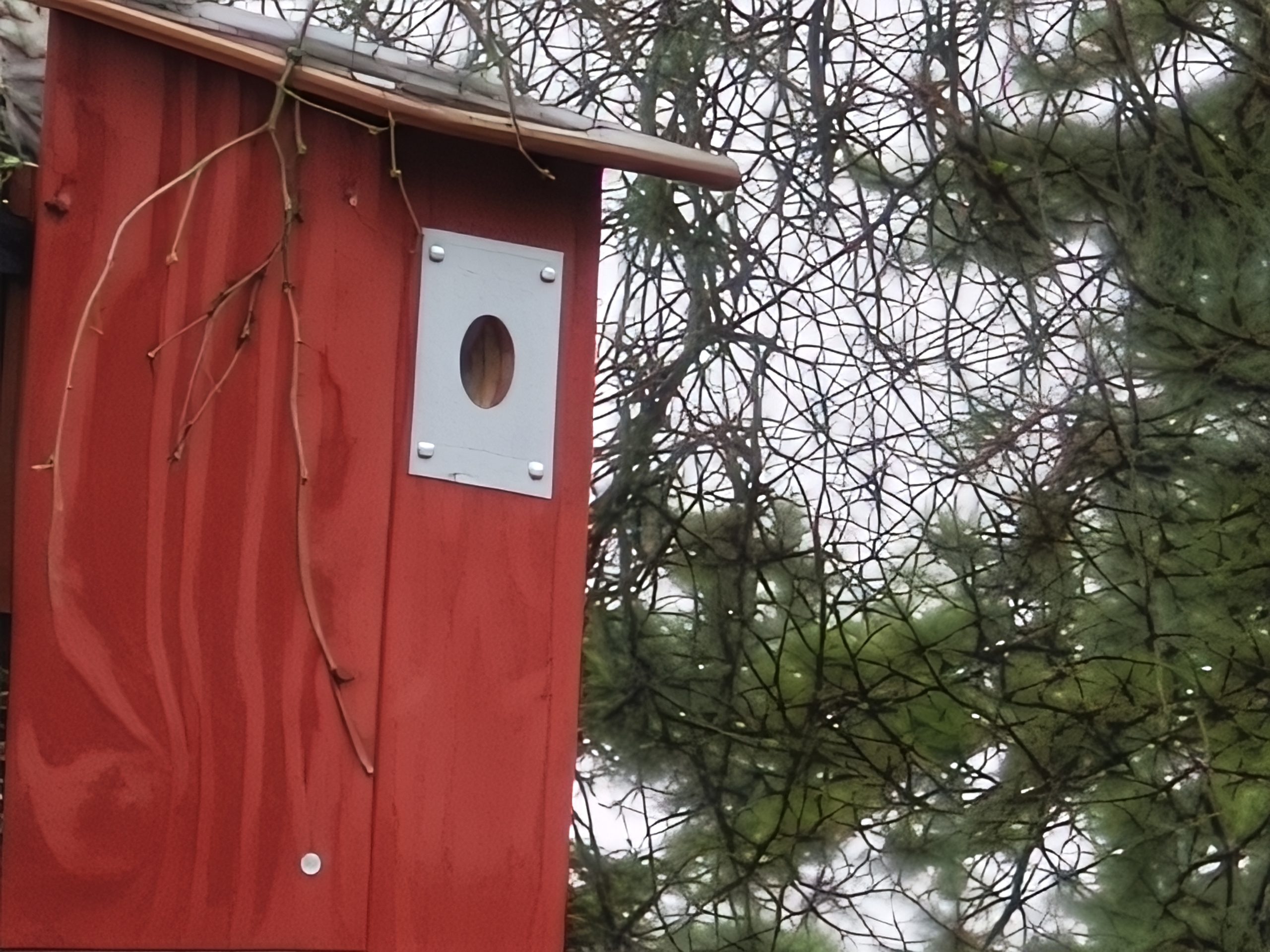 Telekamera, 60x digitaalinen zoom.