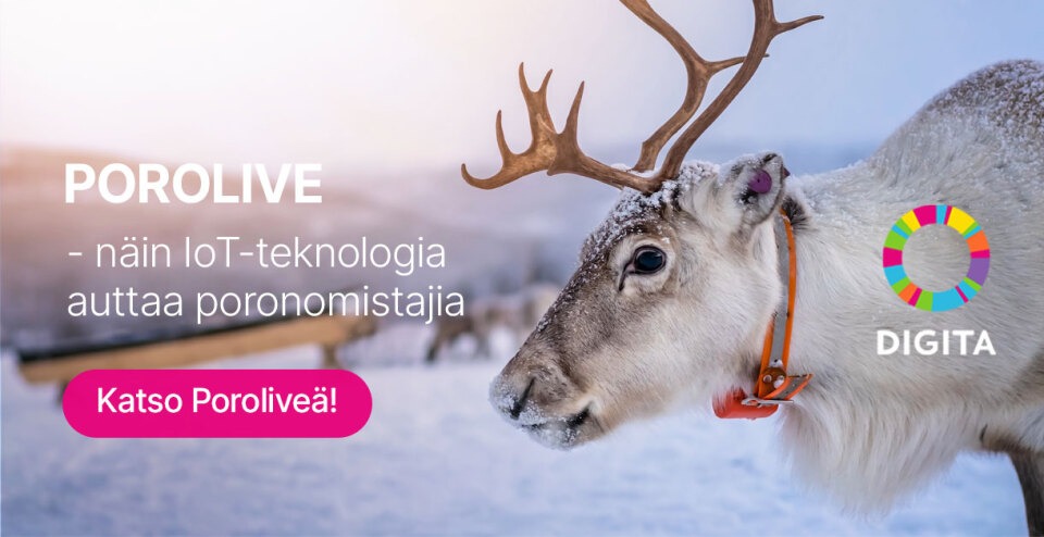 Digita ja Ranniot toivat Poroliven televisioon.