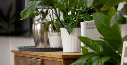 Reititin. Kuva: DNA.