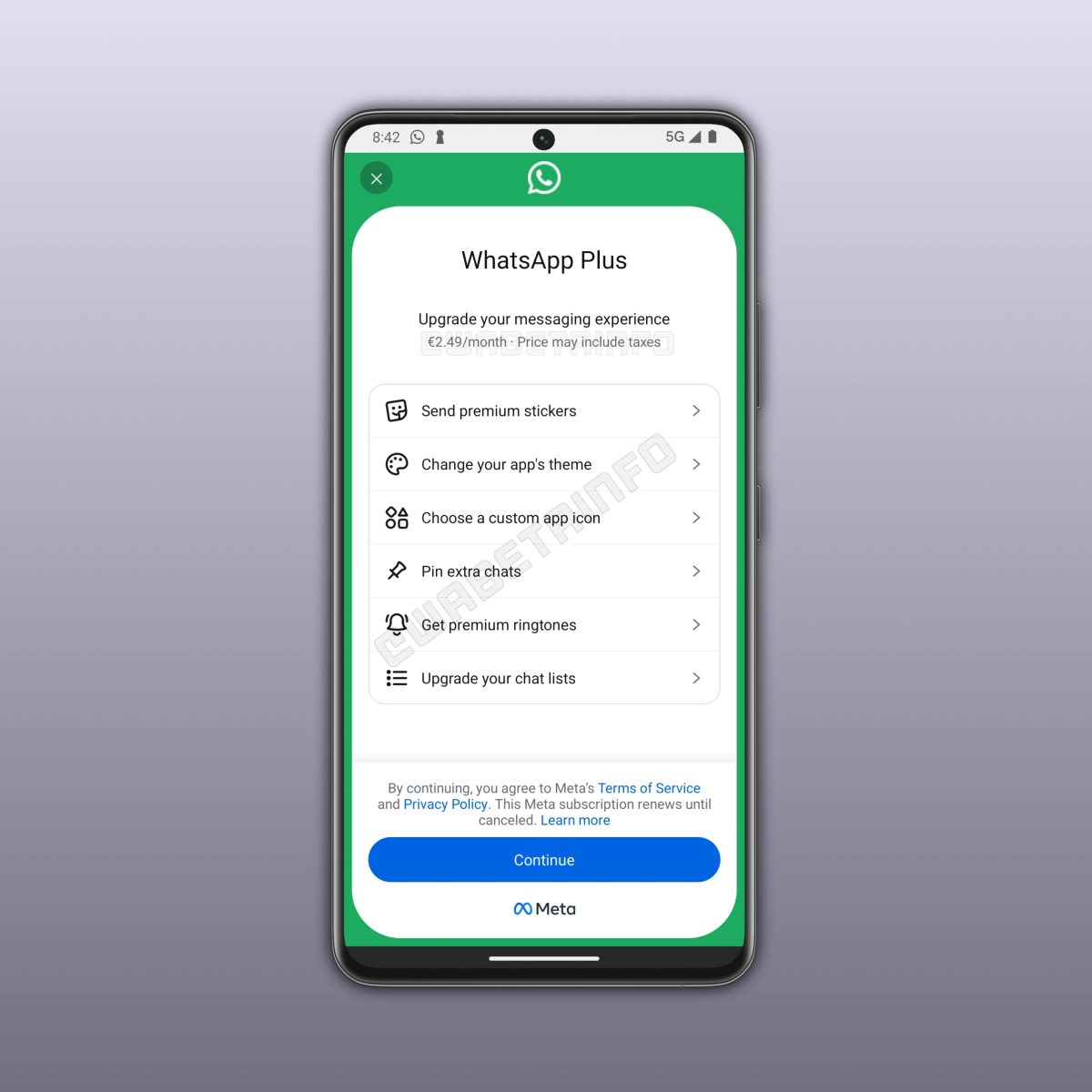 WhatsApp Plussan sisältöä. Kuva: WABetaInfo.