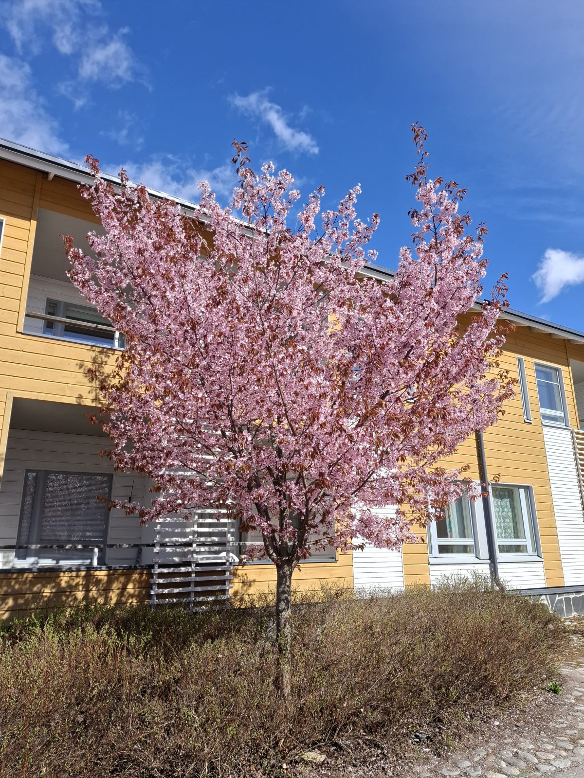 Pääkamera.