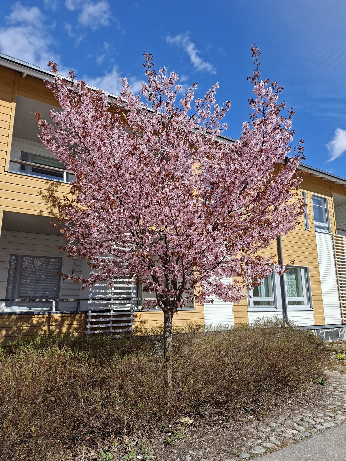 Pääkamera.