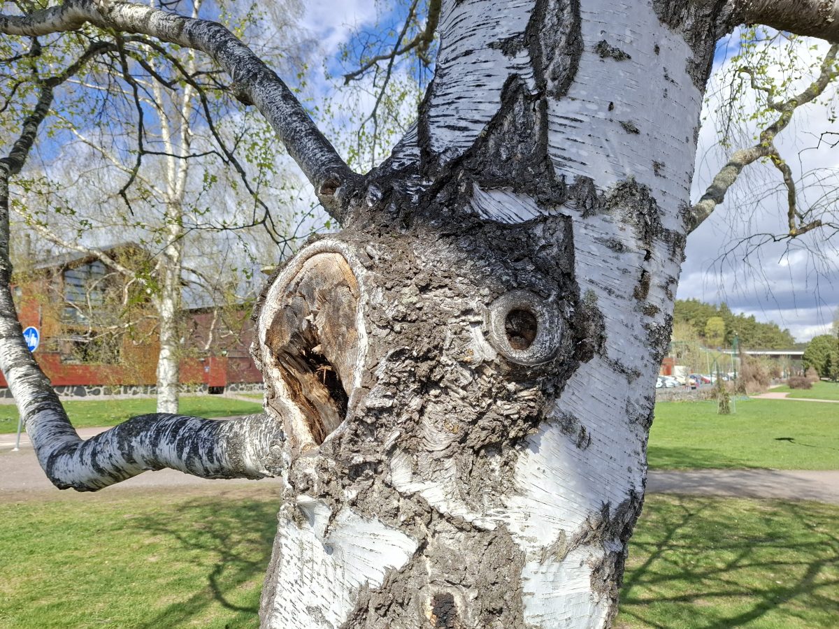 Pääkamera.