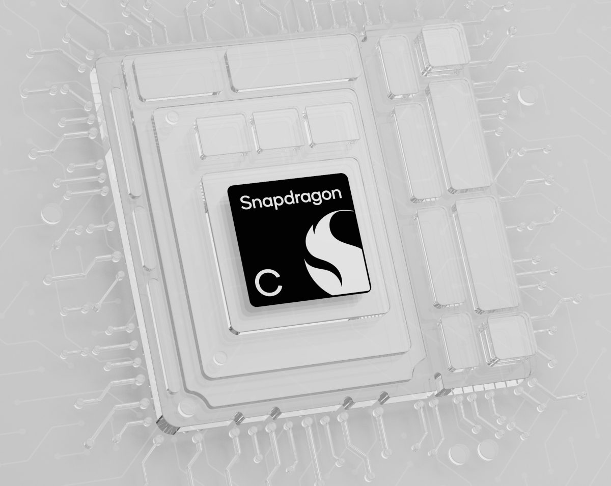 Snapdragon C.