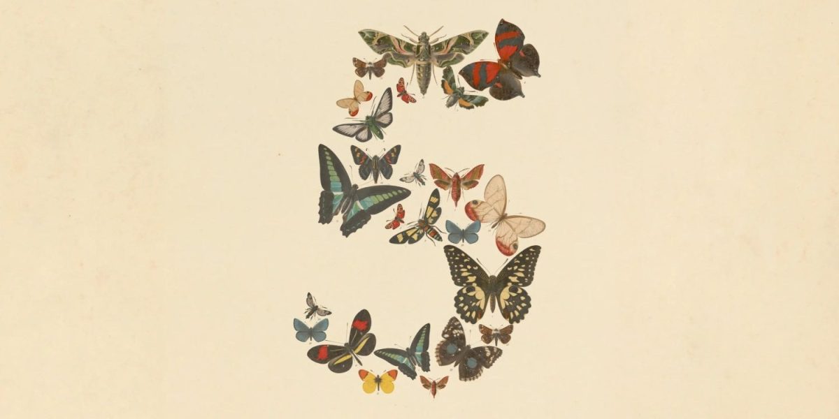 Claude Fable 5.