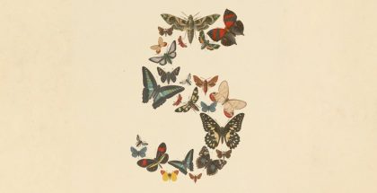 Claude Fable 5.