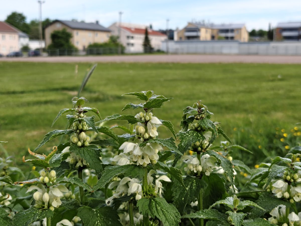Pääkamera.