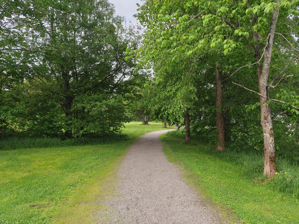 Pääkamera.