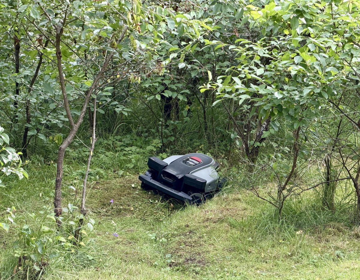 RockMow Z1 ajaa itsensä usein vaikeuksiin kuoppaisissa, hieman kaltevissa paikoissa, joissa fiksummin liikkumalla se voisi selvitä omin voiminkin.