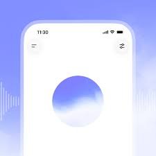 ChatGPT Voice.