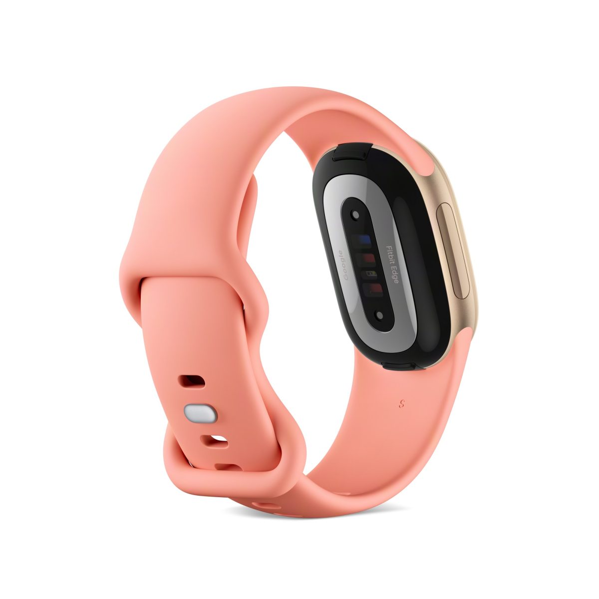 Fitbit Edge takaa.